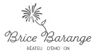 BRICE BARANGE EVENTS