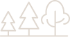 Jardin arboré