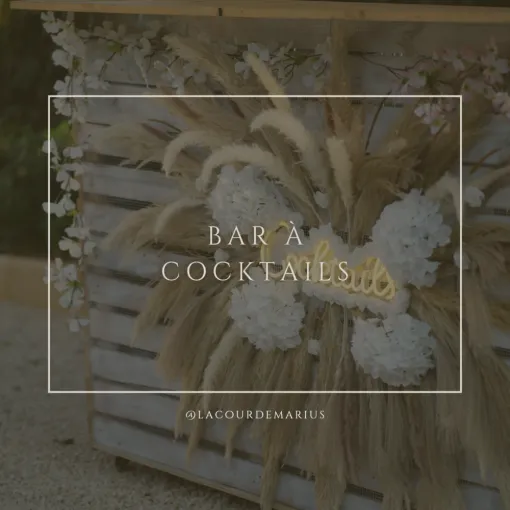 Bar à Cocktails à Saint Martin en haut 🍹, Grezieu-le-Marché, vers Saint-Martin-en-Haut, La Cour de Marius