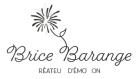 BRICE BARANGE EVENTS, Saint-Martin-en-Haut, La Cour de Marius