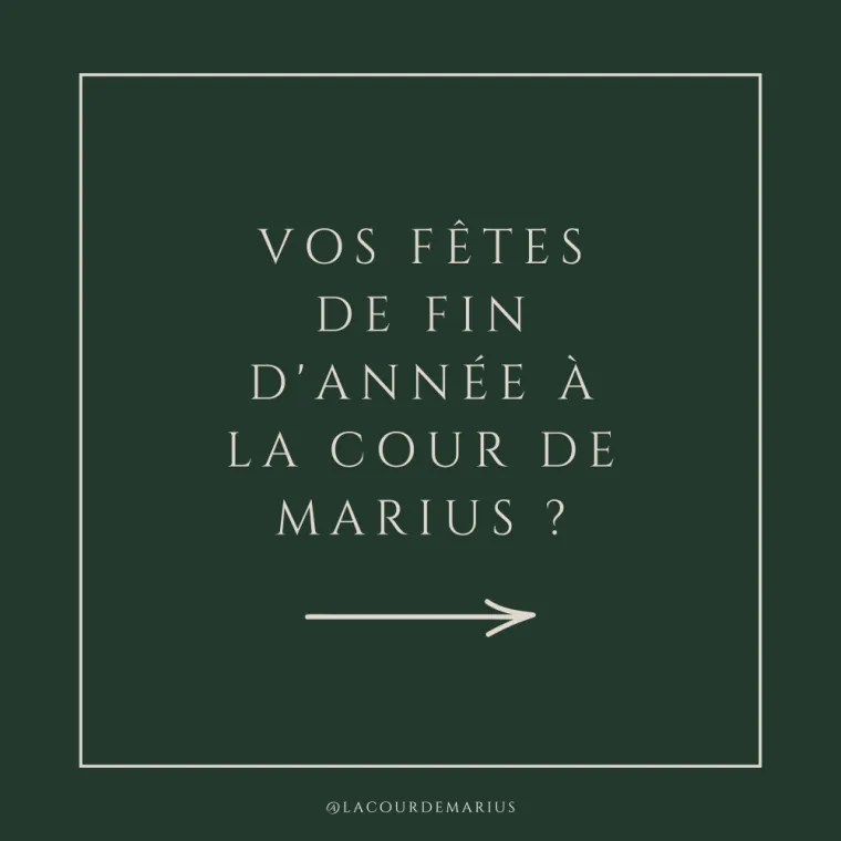 Notre gîte vous accueille pour vos fêtes de fin d'année (Chazelles sur Lyon), Grezieu-le-Marché, vers Saint-Martin-en-Haut, La Cour de Marius